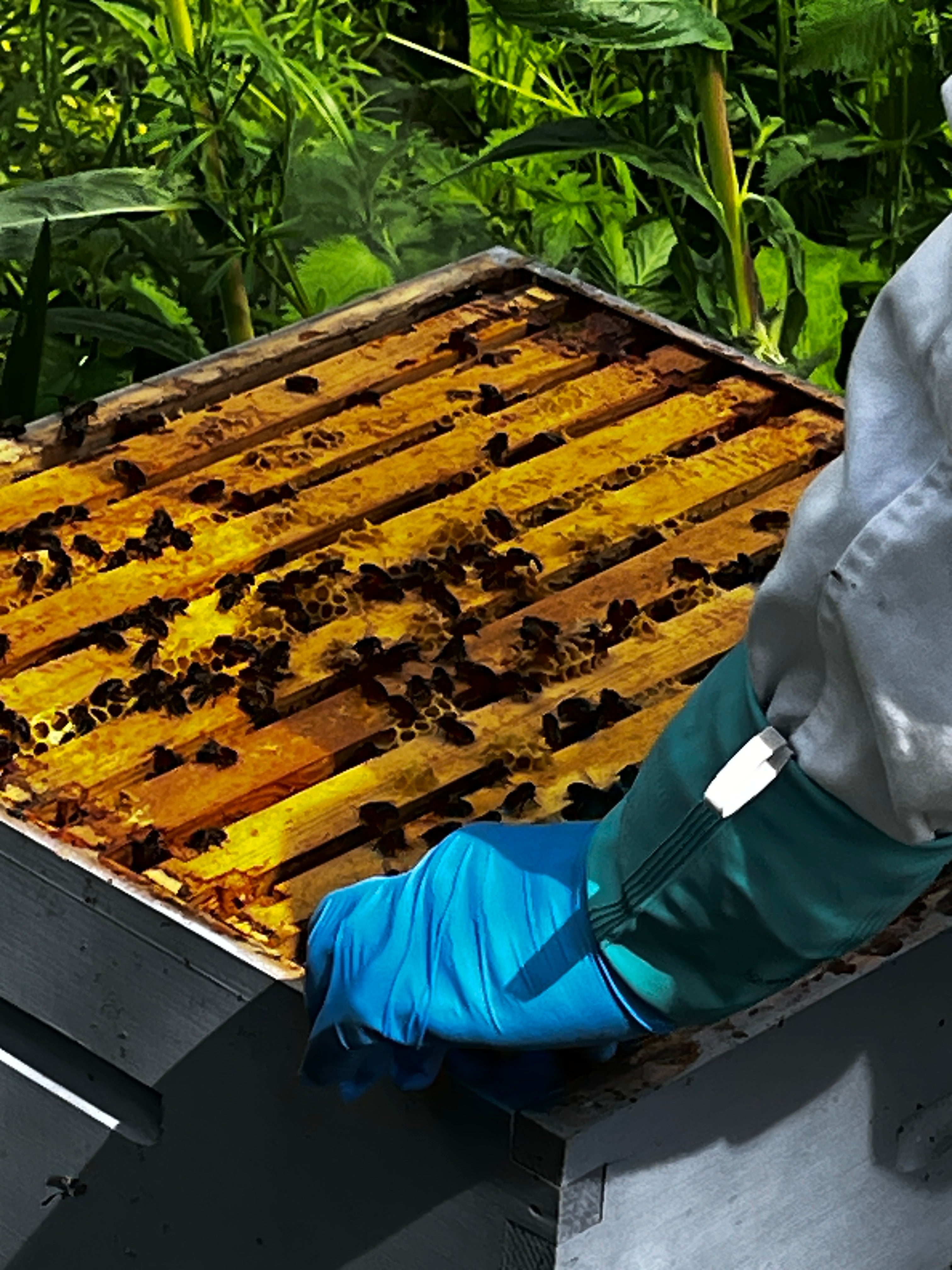 Raw Irish Honey