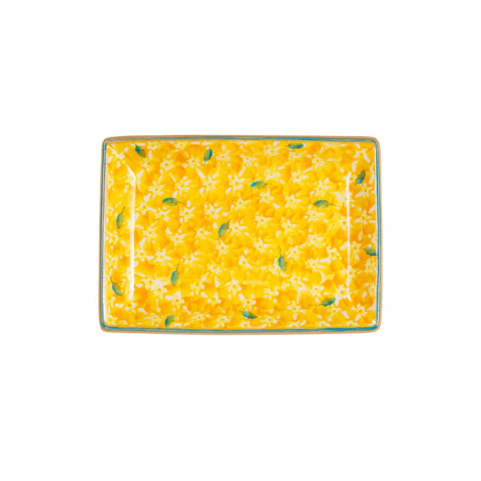 Small Rectangle Plate